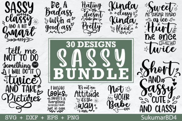30 Sassy SVG Bundle: Graphics for Crafts & Local Branding